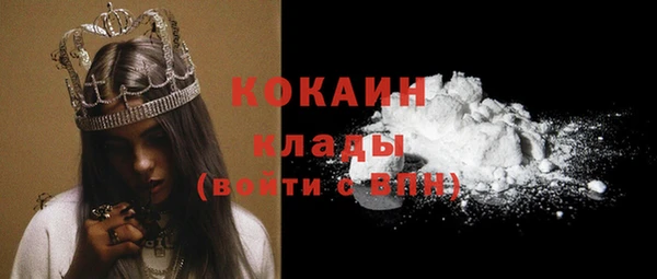 дживик Ладушкин