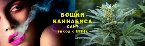 шишки Лихославль