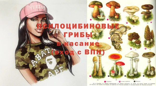 spice Липки