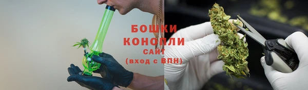 дживик Ладушкин