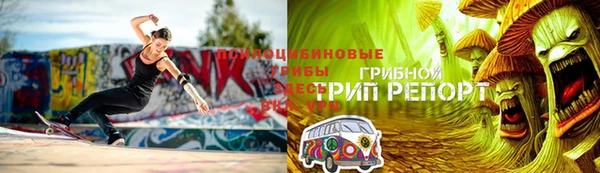 шишки Лихославль