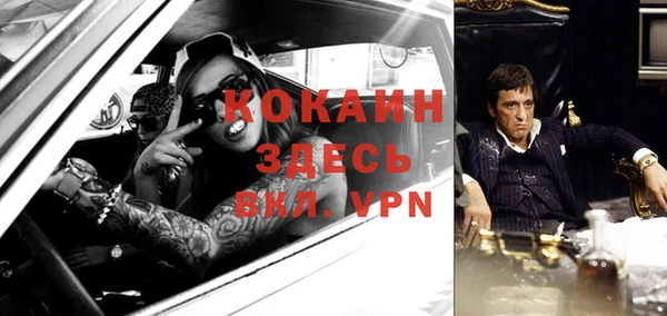 дживик Ладушкин
