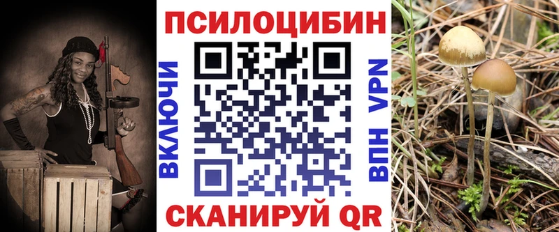 Галлюциногенные грибы Magic Shrooms  Чухлома 